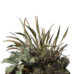 Fertile Cinder's Cradle Dirt