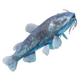 Shockfin