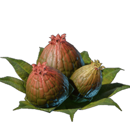 Algae Buds.png