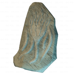 Larger Sea Lily Fossil