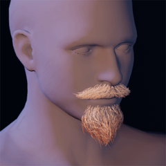 Beard 11