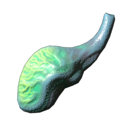 Fish Poison Gland.png