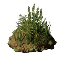 Underwater Mud
