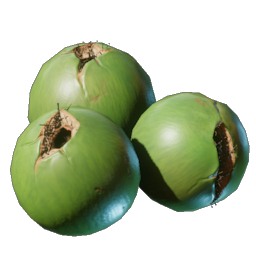 Coconut.png