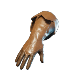Hawk Gloves.png