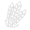 Grain Product.png