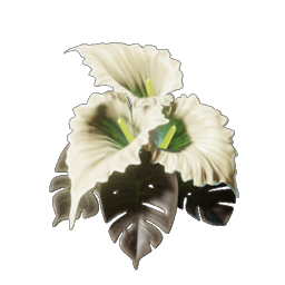 Calla Luna.png