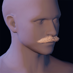 Beard 10