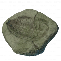 Trilobite Imprint.png