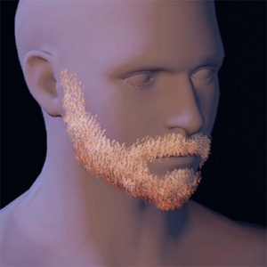 Beard 13