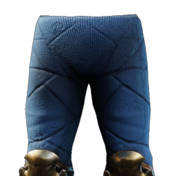 Eagle Eye Trousers.png