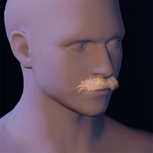 Beard 7