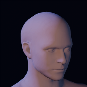 Hair 1