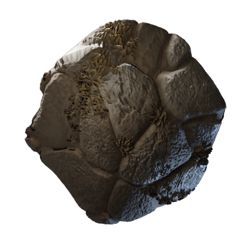 Smooth Stone Road Block
