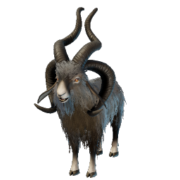 Frizzy Goat.png