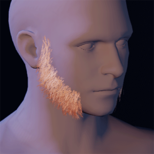 Beard 4