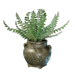 Fern Pot.png