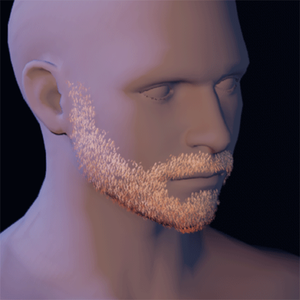 Beard 14