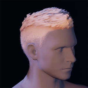 Hair 26