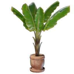 Banana Plant Pot.png