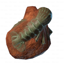 Prawn Fossil