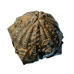 Round Sea Urchin
