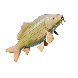 Lakehopper