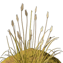 Fertile Nomad Highlands Dirt