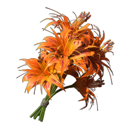 Daylily.png