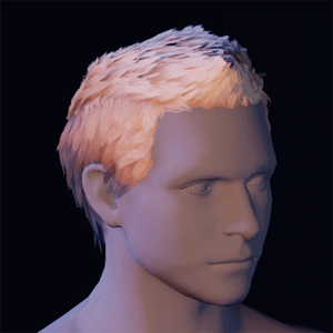 Hair 25