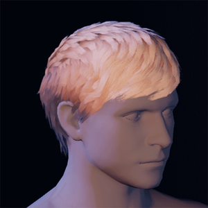 Hair 19