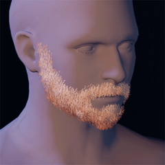 Beard 14