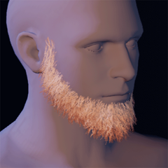Beard 3