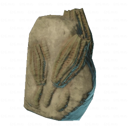 Smaller Sea Lily Fossil