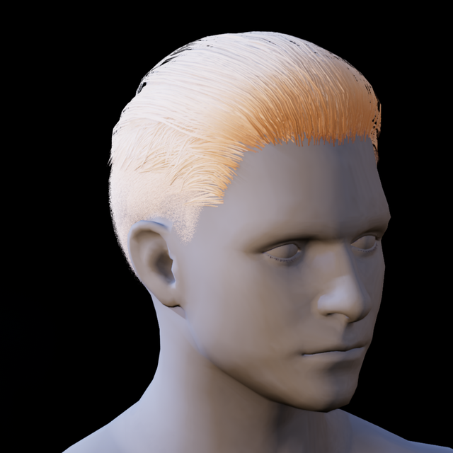 Hair 24 [4]