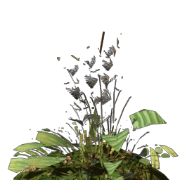 Fertile Veilwater Basin Dirt