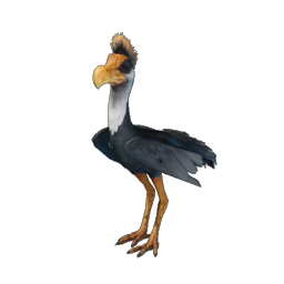 Round-Billed Sailer.png
