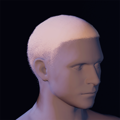 Hair 26