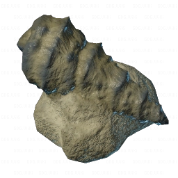 Single Gastropod.png