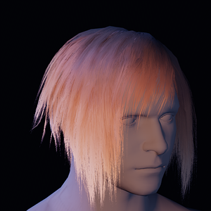 Hair 28