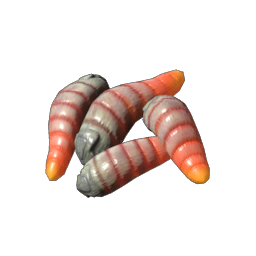 Maggots.png