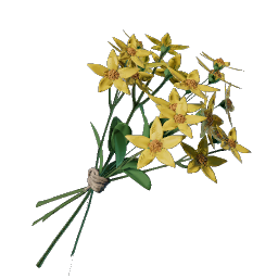Aureolin Flower.png