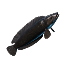 Shadowtail