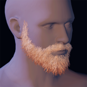 Beard 2