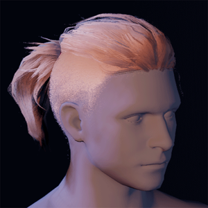 Hair 14