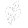 Herbs.png