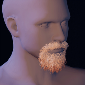 Beard 5