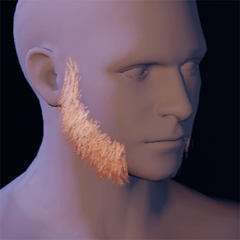 Beard 4