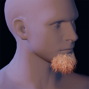 Beard 6