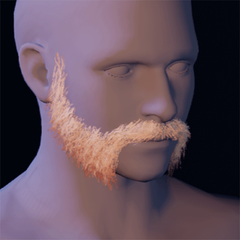 Beard 9
